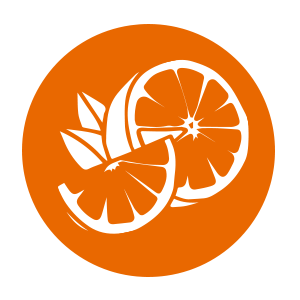 elektrolity - pomarańczowy smak